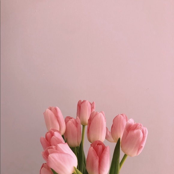 Meet your Posher, Emma - Picture 1 of 1